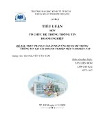Đề tài Thực trạng và giải pháp ứng dụng hệ thống thông tin tại các doanh nghiệp Việt Nam hiện nay
