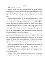 LUẬN văn THẠC sĩ LỊCH sử ĐẢNG   ĐẢNG CỘNG sản VIỆT NAM với QUÁ TRÌNH HÌNH THÀNH và PHÁT TRIỂN PHƯƠNG PHÁP CÁCH MẠNG ở MIỀN NAM (1954   1964)