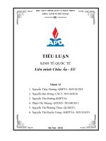 tiểu luận kinh tế quốc tế liên minh châu âu   eu 