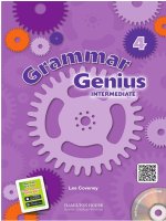 Grammar genius 4 