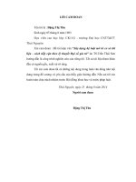 Xây dựng hệ luật mờ từ cơ sở dữ liệu   cách tiếp cận theo lý thuyết đại số gia tử 