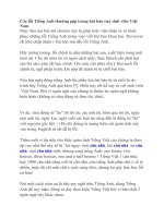 Các lỗi Tiếng Anh thường gặp trong bài báo của sinh viên Việt Nam