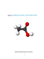 Tiểu luận Vi khuẩn acetic và lên men giấm