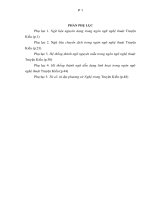 Luận án ngôn ngữ nghệ thuật truyện kiều từ góc nhìn văn hóa 