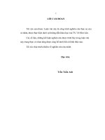 Dự báo chuỗi thời gian mờ theo tiếp cận đại số gia tử 