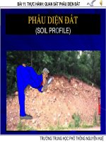 bài 11 thực hành quan sát phẫu diện đất