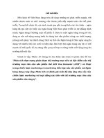 Phân tích thực trạng phân đoạn thị trường mục tiêu và đặc điểm của thị trường mục tiêu của sản phẩm thẻ ACB Visa Domestic (ATM2+) và Thực trạng chiến lược marketing và marketing hỗn hợp của sản phẩm mà Ngân hàng đang cung ứng. Phân tích và đánh giá mức độ