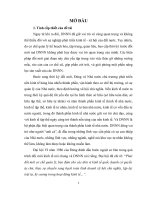 tiểu luận cao học tái cấu trúc doanh nghiệp nhà nước trên địa bàn thành phồ hà nội hiện nay