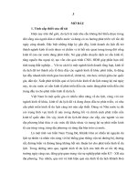 LUẬN văn THẠC sĩ KINH tế CHÍNH TRỊ   PHÁT TRIỂN KINH tế DU LỊCH ở TỈNH KHÁNH hòa HIỆN NAY