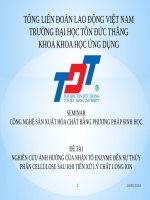 SIMINAR SINH HỌC NGHIÊN CỨU ẢNH HƯỞNG CỦA NHÂN TỐ ENZYME ĐẾN SỰ THỦY PHÂN CELLULOSE SAU KHI TIỀN XỬ LÝ CHẤT LỎNG ION