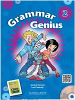 Grammar genius 2 