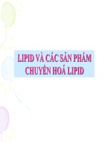 LIPID VÀ CÁC SẢN PHẨM CHUYỂN HOÁ LIPID
