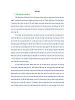 LUẬN văn THẠC sĩ   VAI TRÒ của QUẦN CHÚNG NHÂN dân các xã BIÊN GIỚI TRONG NHIỆM vụ PHÒNG, CHỐNG BUÔN lậu của bộ đội BIÊN PHÒNG HIỆN NAY