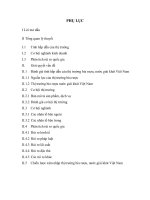 Chiến lược xâm nhập thị trường bia rượu, nước giải khát việt nam