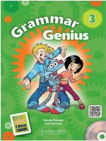 Grammar genius 3 