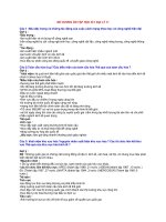 ĐỀ CƯƠNG ÔN TẬP HỌC KÌ 1 ĐỊA LÝ 11