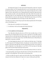 8.5 điểm  Vận dụng các quy định và thực tiễn giải quyết tranh chấp trong khuôn khổ WTO để phân tích các vấn đề pháp lý Vận dụng các quy định và thực tiễn giải quyết tranh chấp trong khuôn khổ WTO để phân tích các vấn đề pháp lý sau: Khái niệm một số sản p