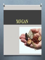 bài giảng xơ gan_slide VATM