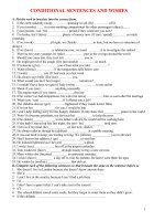 Bài tập Câu điều kiện (Tự luận,  Trắc nghiệm)