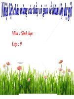 Bài giảng sinh học 9 tham khảo ôn tập học kì i (5) 