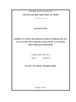 Nghiên cứu điều chế, khảo sát hoạt tính quang xúc tác của bột titan đioxit kích thước nano được biến tính bằng photpho (luận văn thạc sĩ)