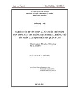 Nghiên cứu tuyển chọn và sản xuất chế phẩm đơn dòng nấm đối kháng trichoderma phòng trừ tác nhân gây bệnh thối đen quả ca cao