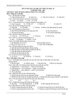 de cuong on tap tin hoc 10 hoc ki 1