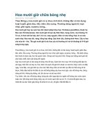 Hoa mười giờ chữa bỏng nhẹ