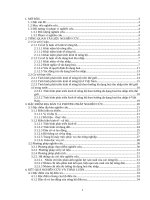 Giải pháp phát triển kinh tế nông hộ theo hướng đa dạng hoá thu nhập tại xã Cư Ewi, huyện Krông Ana, tỉnh Đăk Lăk