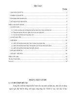 SKKN KỸ NĂNG ĐỌC HIỂU TIẾNG ANH