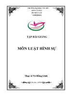 Bài giảng môn luật hình sự 