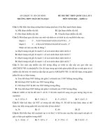 THPT tran hung dao  lan 1  co loi giai chi tiet  file word 