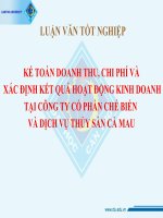 Luận văn đại học kế toán doanh thu, chi phí và xác định kết quả kinh doanh