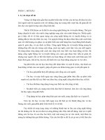 Đề tài Tội ác trong tin học