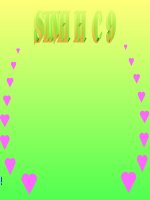 Bài giảng sinh học 9 tham khảo ôn tập học kì i (7) 