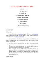 THỰC TRẠNG VỀ SỰ ẢNH HƯỞNG CỦA MÔI TRƯỜNG BIỂN