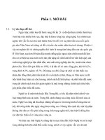 nghiên cứu về chưng trình xóa đói giảm nghèo ở nghệ an