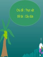 Bài giảng mầm non cây dừa chủ đề thực vật 