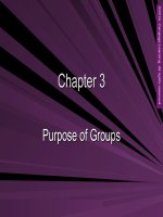 Group counseling strategies and skills chapter 3 