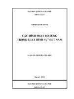 Các hình phạt bổ sung trong luật hình sự việt nam 