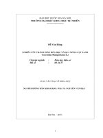 Nghiên cứu thành phần hóa học vỏ quả măng cụt xanh (studying the compositon of green fruit hulls of garcinia mangostana l ) (luận văn thạc sĩ)