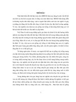 Nghiên cứu chuyển gen mã hóa nhân tố phiên mã OsNAC6 vào giống lúa pusa basmati (luận văn thạc sĩ)