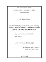 Đánh giá hiện trạng môi trường đất, nước tại một số làng nghề trên địa bàn tỉnh Bắc Ninh và đề xuất giải pháp giảm thiểu ô nhiễm (luận văn thạc sĩ)