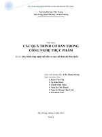 Tiểu luận Quy trình công nghệ lên men sản xuất kim chi Hàn Quốc