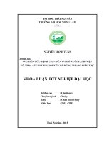 Nghiên cứu bệnh giun đũa ở chó nuôi tại huyện võ nhai   tỉnh thái nguyên và dùng thuốc điều trị 