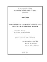 Nghiên cứu chế tạo vật liệu nano composite Fe2O3C ứng dụng làm điện cực âm cho pin Fekhí