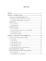Mô phỏng quá trình lan truyền vật chất ô nhiễm dưới tác động của các yếu tố động lực tại vịnh cam ranh bằng mô hình số (luận văn thạc sĩ)