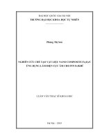 Nghiên cứu chế tạo vật liệu nano composite Fe2O3C ứng dụng làm điện cực âm cho pin Fekhí (luận văn thạc sĩ)