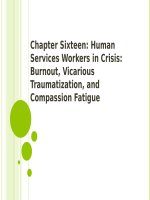Crisis intervention strategies chapter 16 