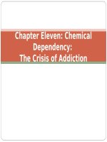 Crisis intervention strategies  chapter 11 